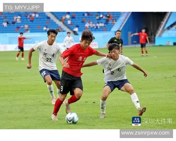 南京足球队运营分析：成败得失与未来发展方向探讨