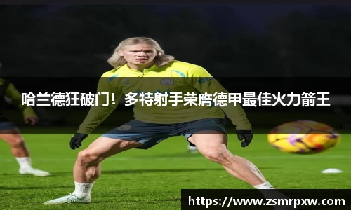 哈兰德狂破门！多特射手荣膺德甲最佳火力箭王