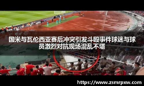 国米与瓦伦西亚赛后冲突引发斗殴事件球迷与球员激烈对抗现场混乱不堪